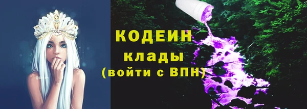 гашик Осташков