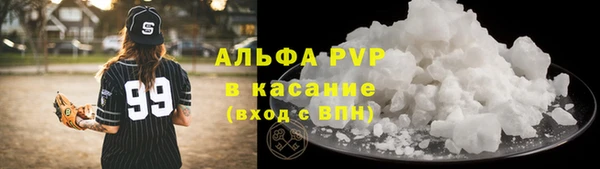 гашик Осташков