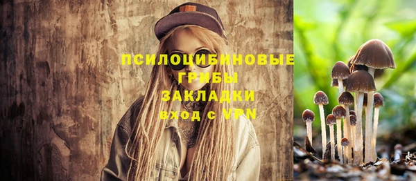 гашик Осташков