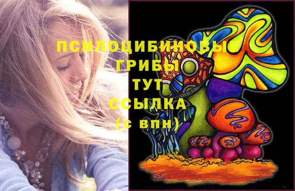 бутират Осинники